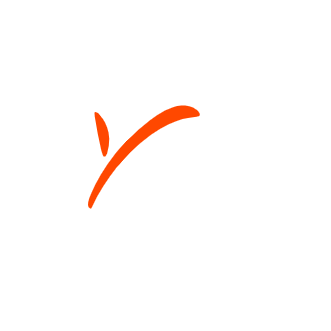 Payoneer logo