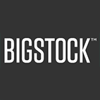 BigStock logo